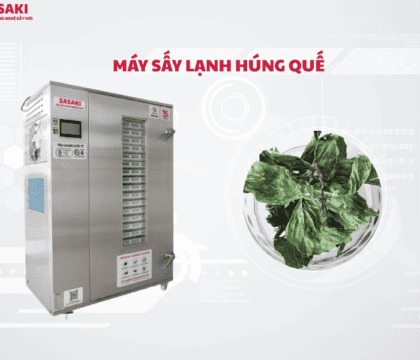 Máy sấy lạnh húng quế giữ màu xanh và hương thơm tự nhiên