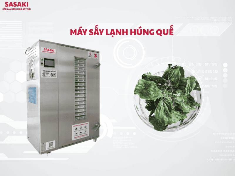 Máy sấy lạnh húng quế giữ màu xanh và hương thơm tự nhiên