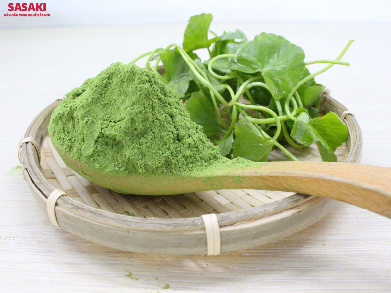 Bột rau má sấy thăng hoa giữ màu xanh, hương thơm tự nhiên, độ mịn cao dễ hòa tan