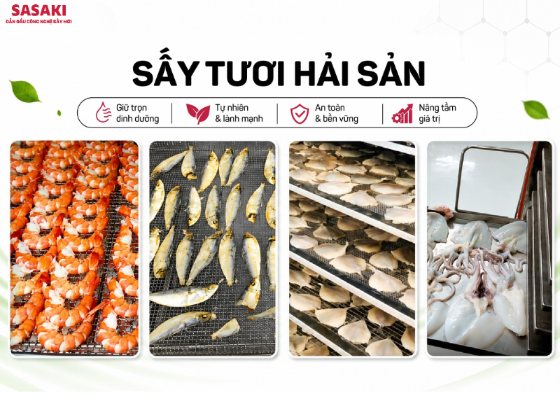 Các loại hải sản như tôm, cá, mực… có thể ứng dụng sấy thăng hoa trong chế biến và bảo quản