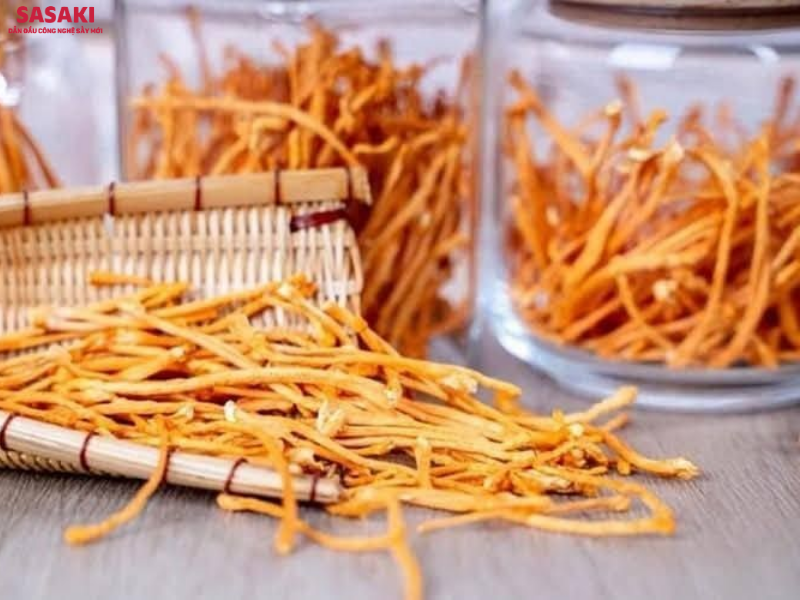 Đông trùng hạ thảo sấy thăng hoa có mức giá bán khá cao so với các phương pháp sấy thường
