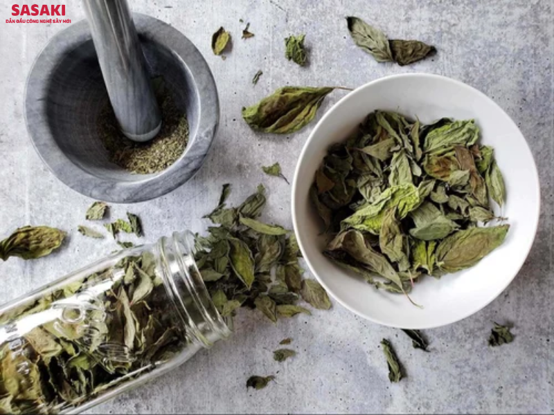Hương nhu sấy lạnh vẫn giữ nguyên được màu xanh của lá, tinh dầu thơm và giá trị dược tính