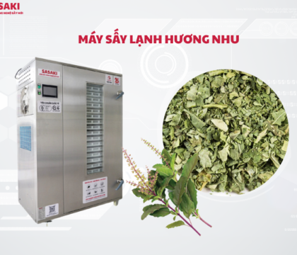 Máy sấy lạnh hương nhu giữ trọn hương thơm tinh dầu và dược tính