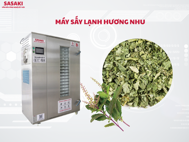 Máy sấy lạnh hương nhu giữ trọn hương thơm tinh dầu và dược tính