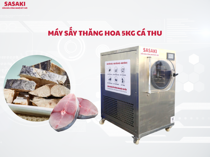 Máy sấy thăng hoa 5kg cá thu cho sản xuất nhỏ, sấy thực phẩm nhiều dầu