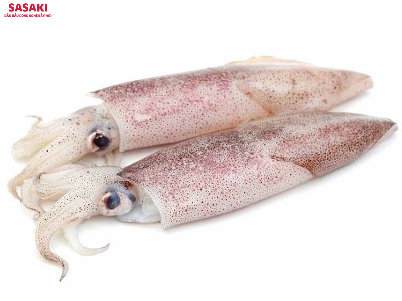 Mực ống tươi có cấu trúc thịt mềm, chứa hàm lượng nước cao, giàu protein và khoáng chất