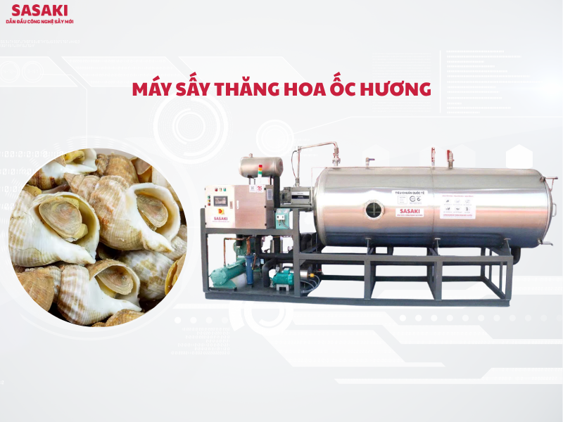 Máy sấy thăng hoa ốc hương giữ nguyên dinh dưỡng, vị ngọt tự nhiên