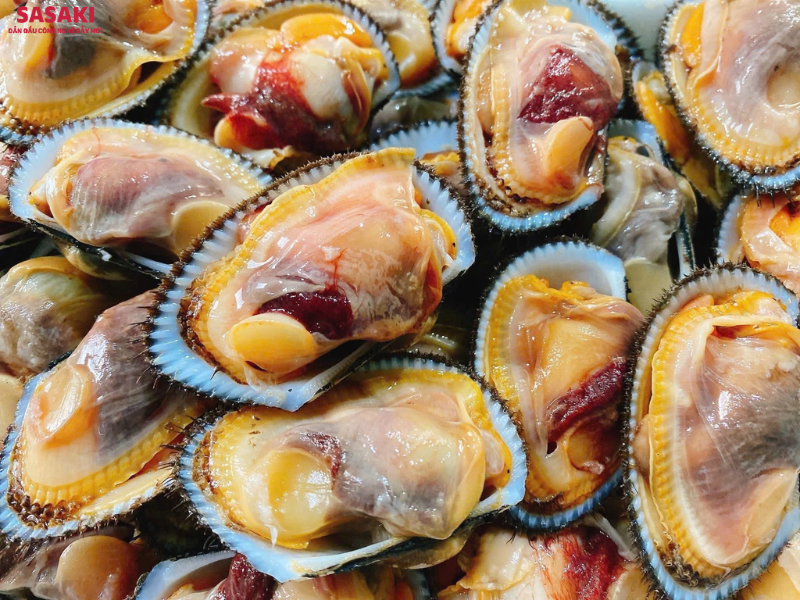 Sò lông có hàm lượng nước cao (chiếm hơn 70-80% trọng lượng), giàu protein và chất béo