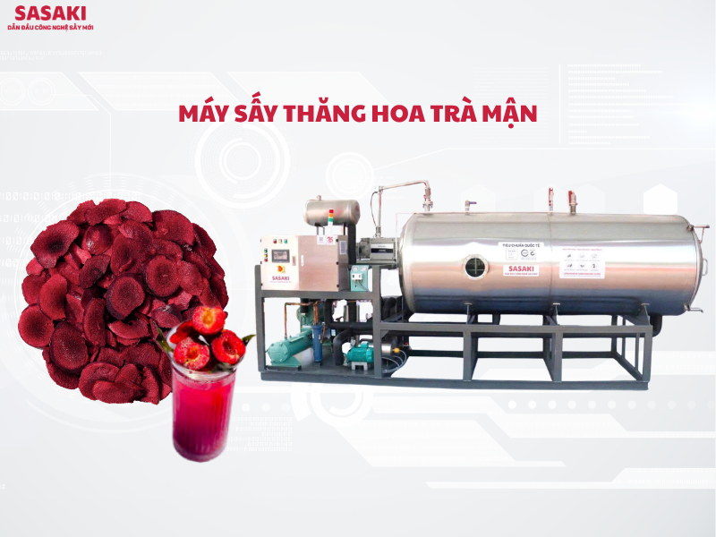 SASAKI - Nhà sản xuất máy sấy thăng hoa trà mận giữ trọn hương vị chua thanh, màu đẹp