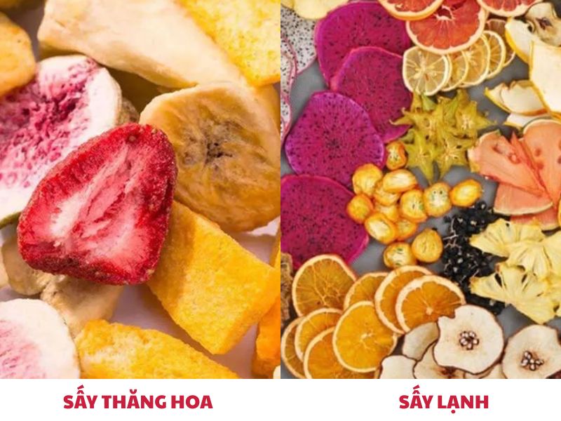 So sánh thành phẩm hoa quả sấy thăng hoa với sấy lạnh