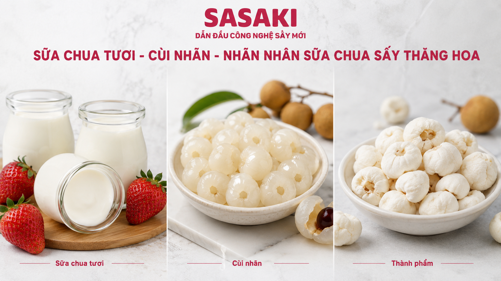 Nhãn Nhân Sữa Chua Sấy Thăng Hoa, Snack fusion Độc Đáo Kết Hợp Hai Hương Vị Tự Nhiên