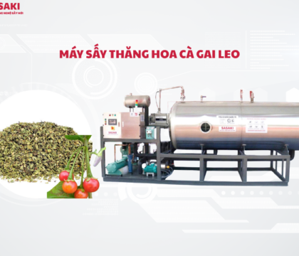 Máy sấy thăng hoa cà gai leo – Giải pháp nâng tầm dược liệu Việt