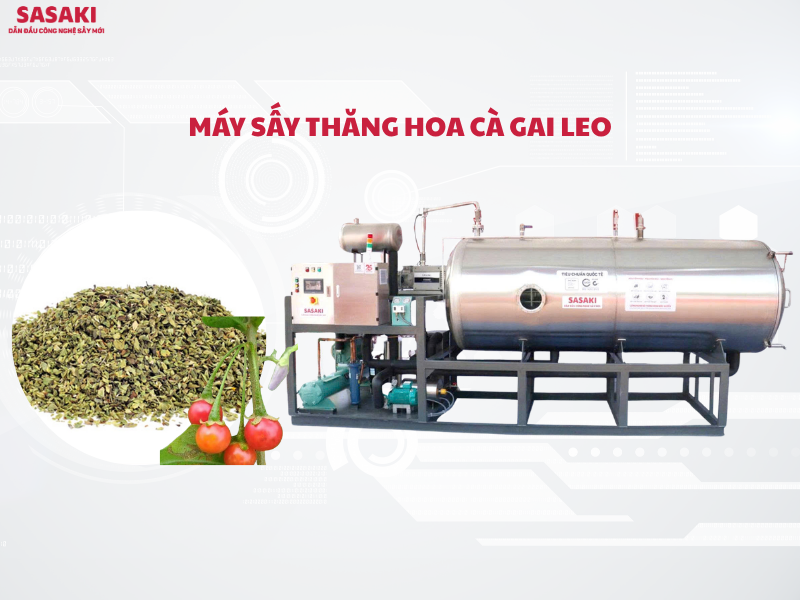 Máy sấy thăng hoa cà gai leo – Giải pháp nâng tầm dược liệu Việt