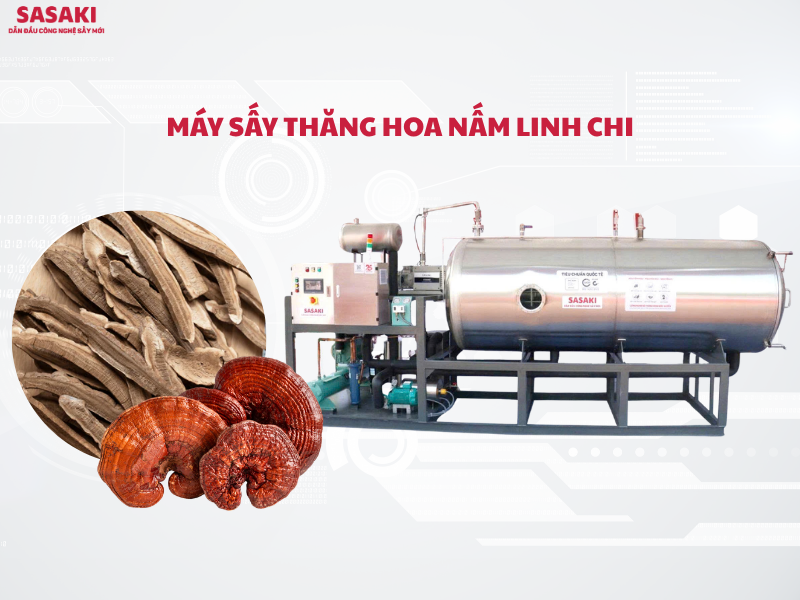 Máy sấy thăng hoa nấm linh chi giữ nguyên dược tính