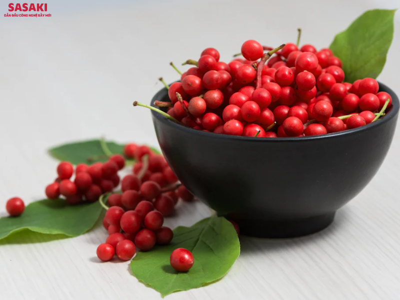 Ngũ vị tử là vị thuốc vô cùng đặc biệt với giá trị y học vượt trội
