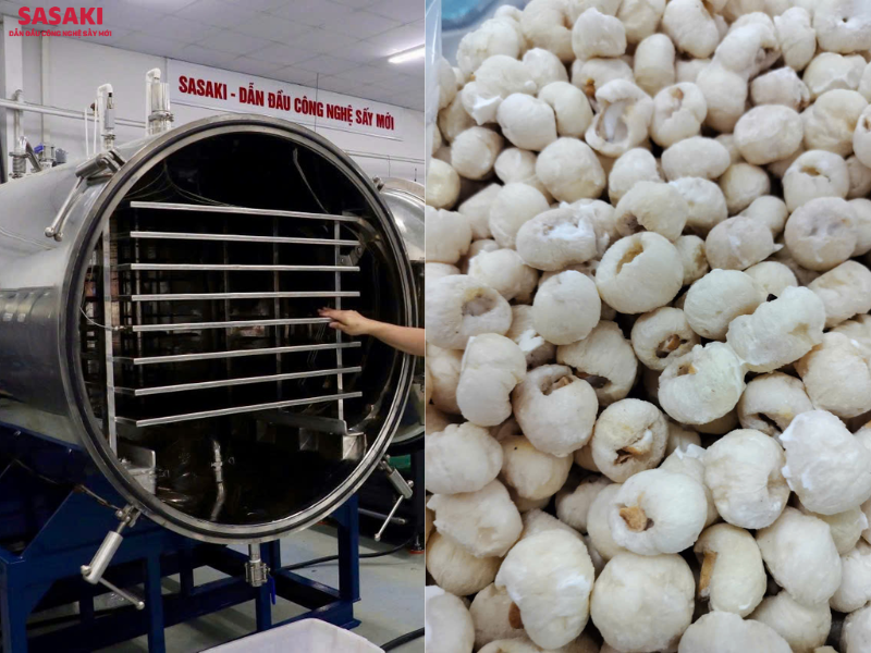 Máy sấy thăng hoa nhãn sấy khô ở nhiệt độ âm sâu và môi trường chân không tuyệt đối.