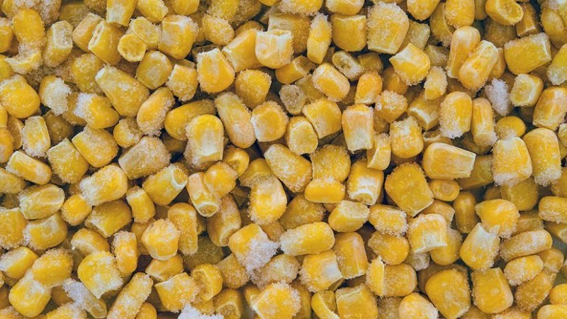 Nhu cầu sử dụng bắp đông lạnh quanh năm của nhà máy và F&B