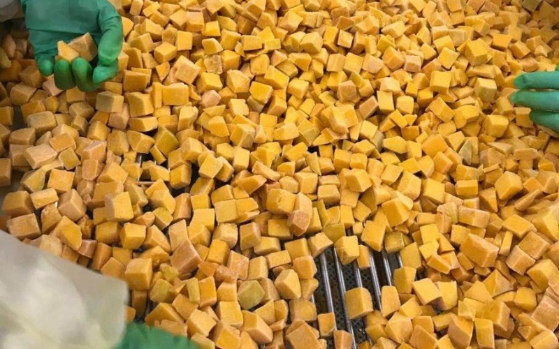 Bí đỏ cấp đông phục vụ sản xuất quy mô công nghiệp