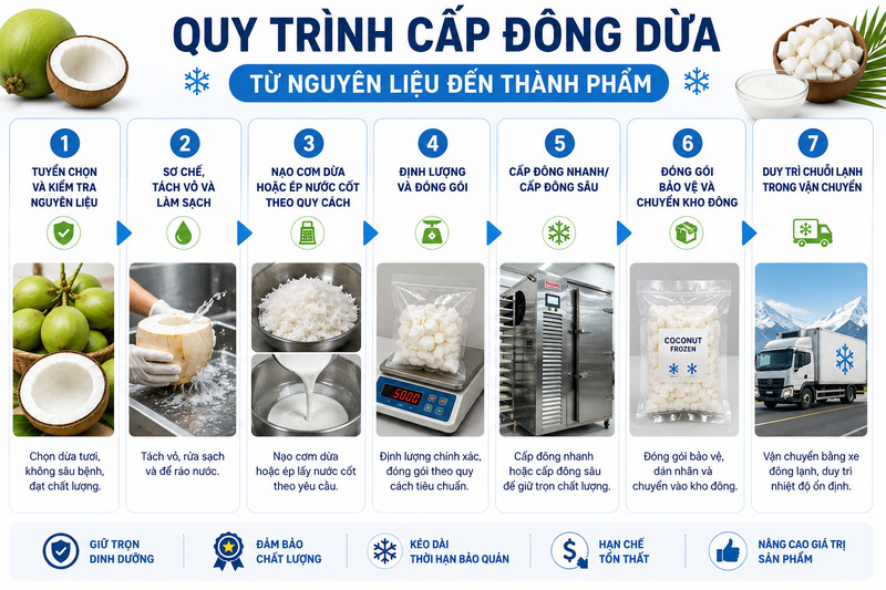 Các bước cấp đông dừa