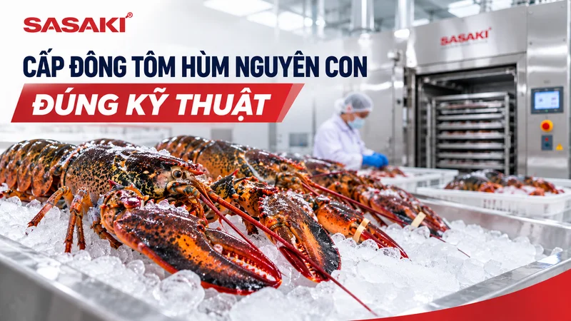 Cách cấp đông tôm hùm nguyên con đúng kỹ thuật