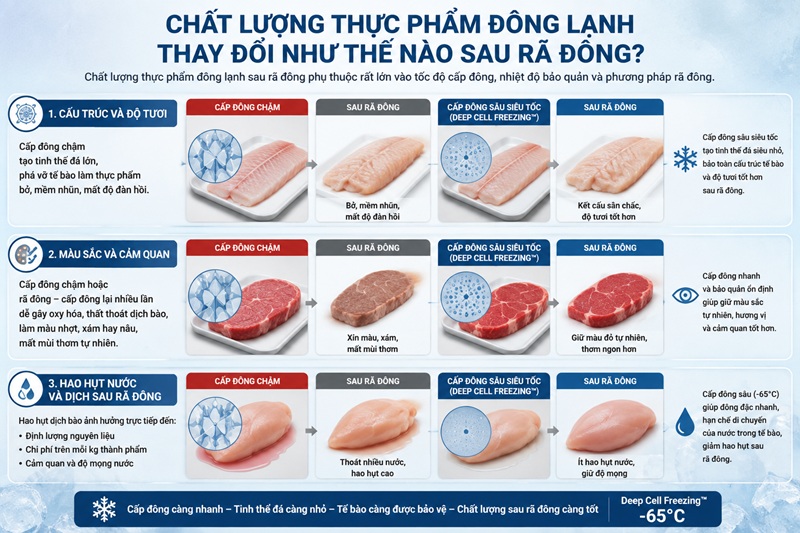 Chất lượng thực phẩm đông lạnh phụ thuộc lớn vào tốc độ cấp đông, nhiệt độ bảo quản và phương pháp rã đông