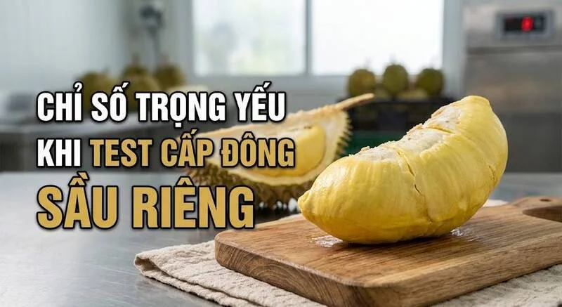 Chỉ số test cấp đông sầu riêng