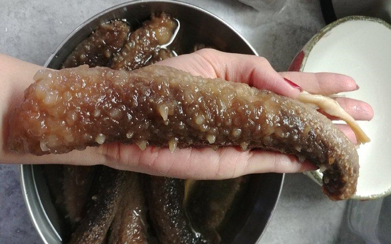 Hải sâm rã đông bị teo tóp và bở nhão