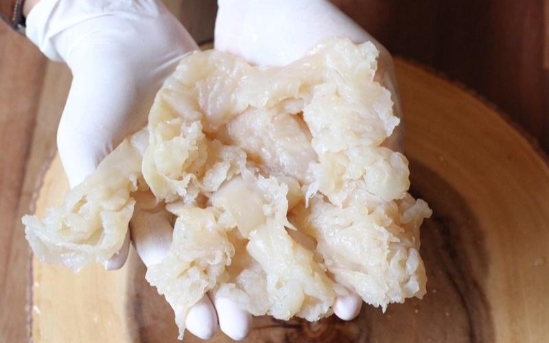 Sứa đông lạnh
