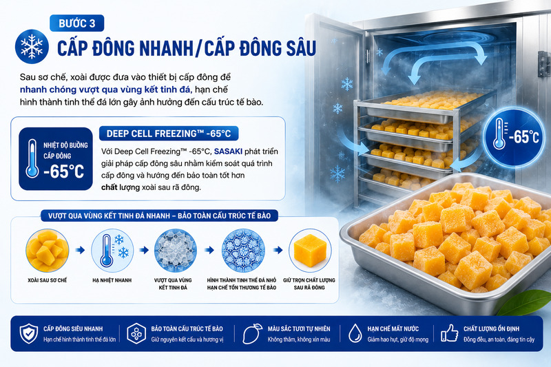 Thực hiện cấp đông sâu