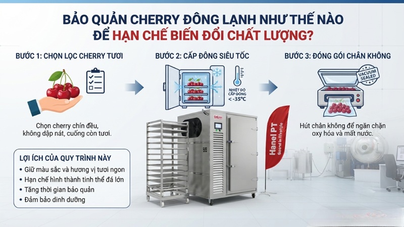 Bảo quản cherry bằng máy cấp đông sâu SASAKI