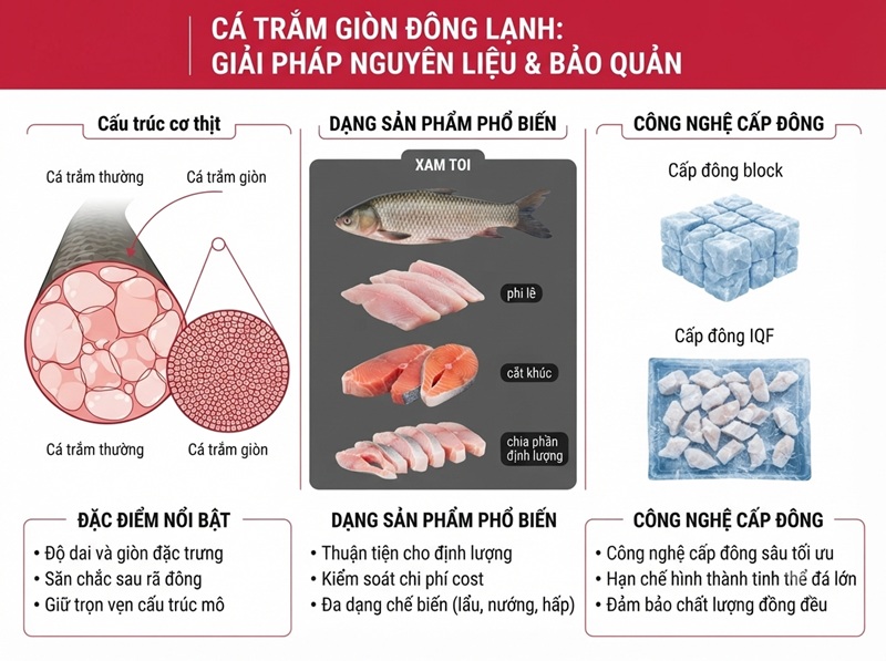 Cá trắm giòn đông lạnh: Giữ độ giòn sau rã đông cho nhà máy và F&B