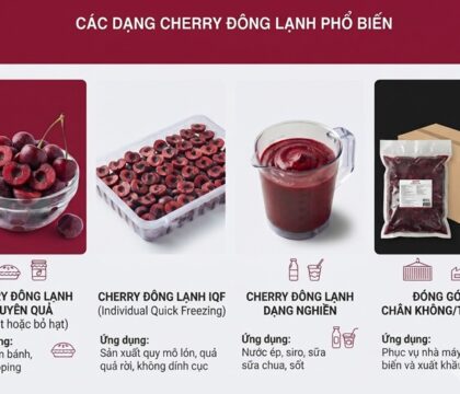 Cherry đông lạnh: Cách bảo quản, giữ màu và độ săn chắc sau rã đông