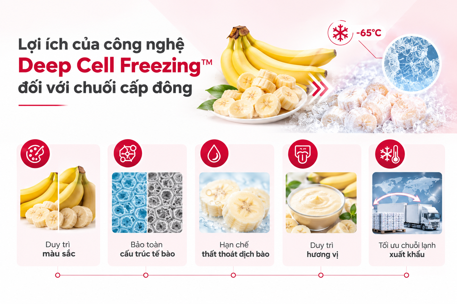 Chuối cấp đông sau rã đông giữ màu sắc và cấu trúc tự nhiên