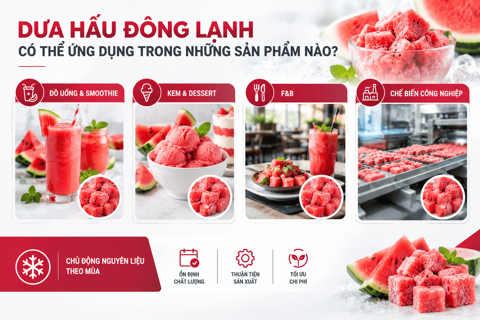Dưa hấu cắt miếng đông lạnh phục vụ chế biến thực phẩm và đồ uống