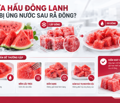 Dưa hấu cắt miếng sau cấp đông và rã đông