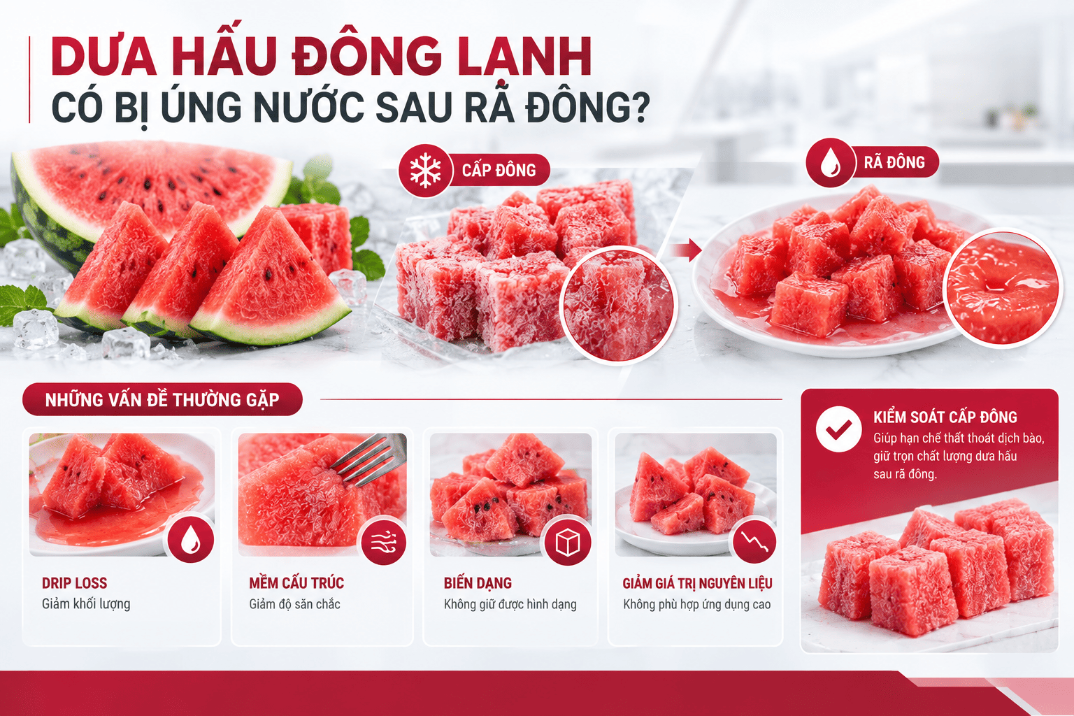 Dưa hấu cắt miếng sau cấp đông và rã đông