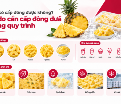 Dứa miếng và dứa lát cấp đông phục vụ chế biến thực phẩm