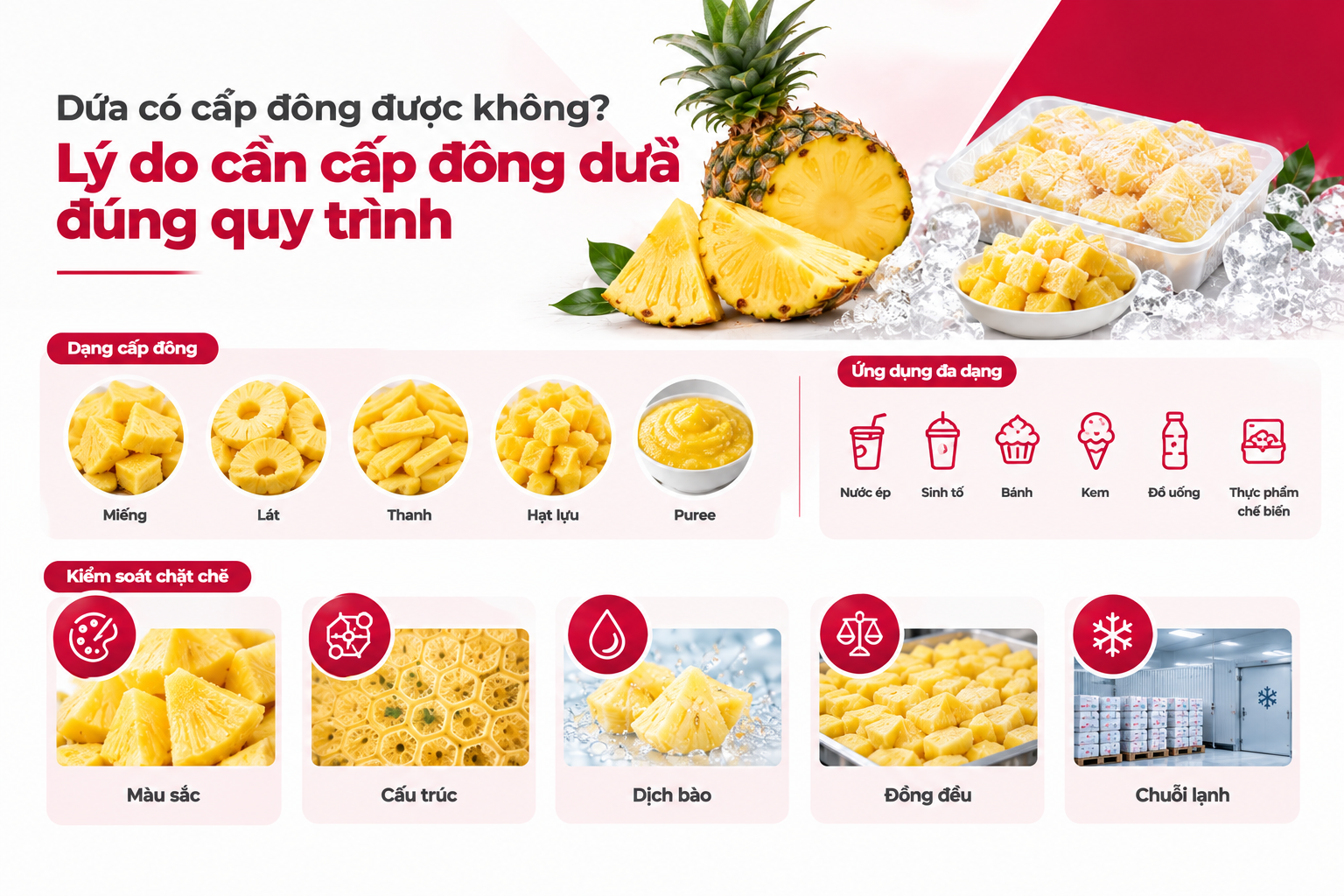 Dứa miếng và dứa lát cấp đông phục vụ chế biến thực phẩm