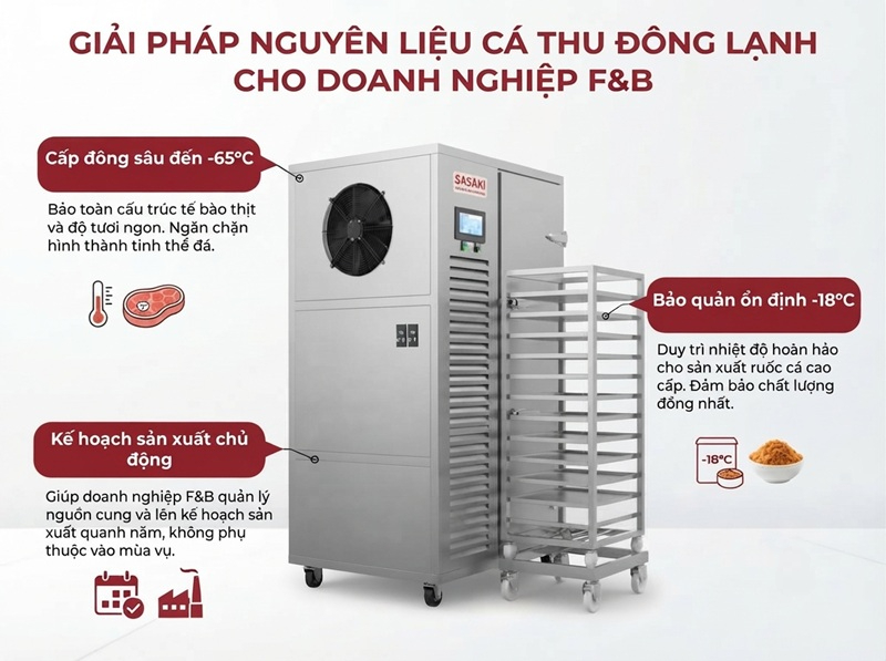 Giải pháp cấp đông sâu SASAKI cho cá thu đông lạnh