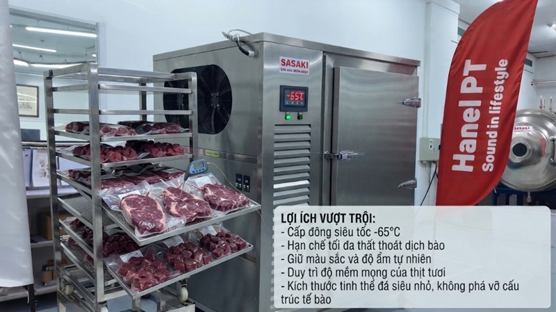 Giải pháp máy cấp đông sâu SASAKI cho thịt ngựa