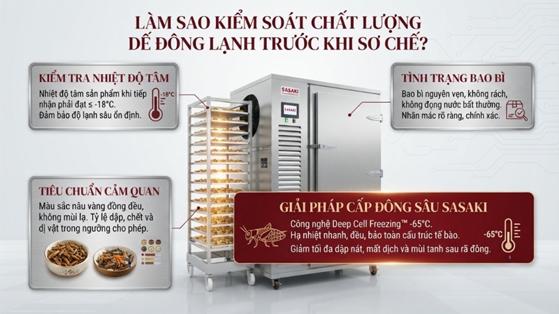 Kiểm soát chất lượng dế đông lạnh bằng máy cấp đông sâu SASAKI