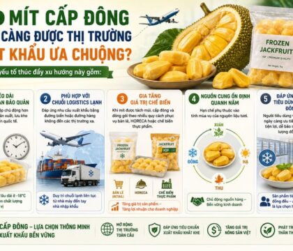 Mít cấp đông là gì? Giải pháp cấp đông sâu mít tách múi phục vụ xuất khẩu
