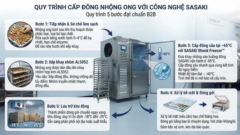 Quy trình cấp đông nhộng ong với công nghệ SASAKI đạt chuẩn