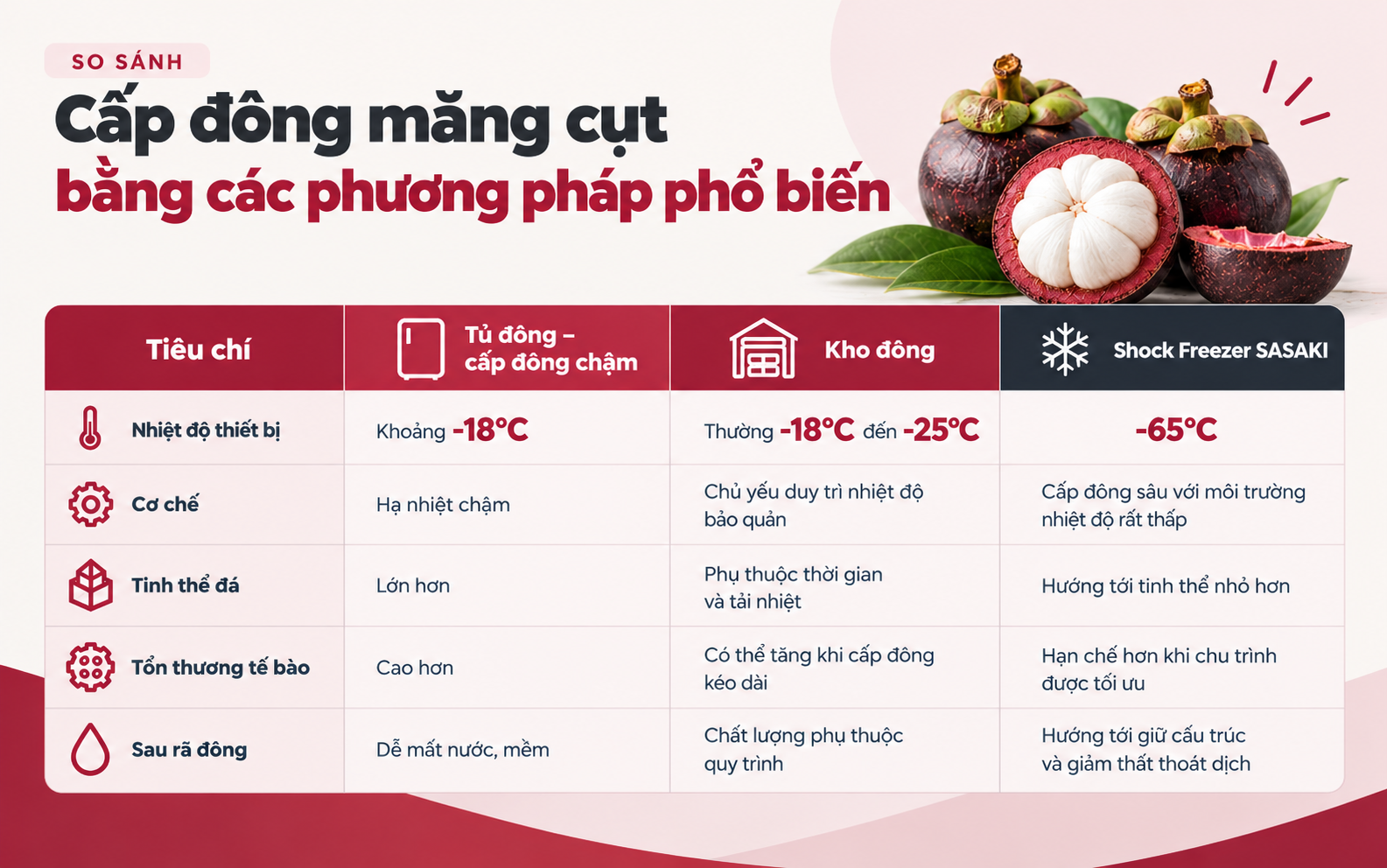 So sánh 3 phương pháp cấp đông măng cụt phổ biến