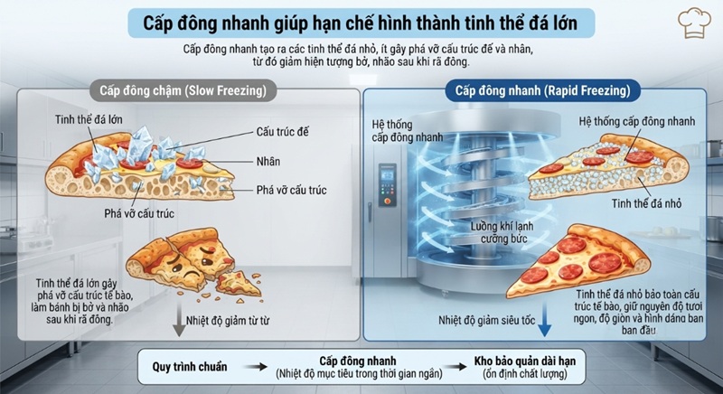 Việc cấp đông nhanh giúp hạn chế hình thành tinh thể đá lớn